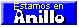 Anillo - Internet para Organizaciones